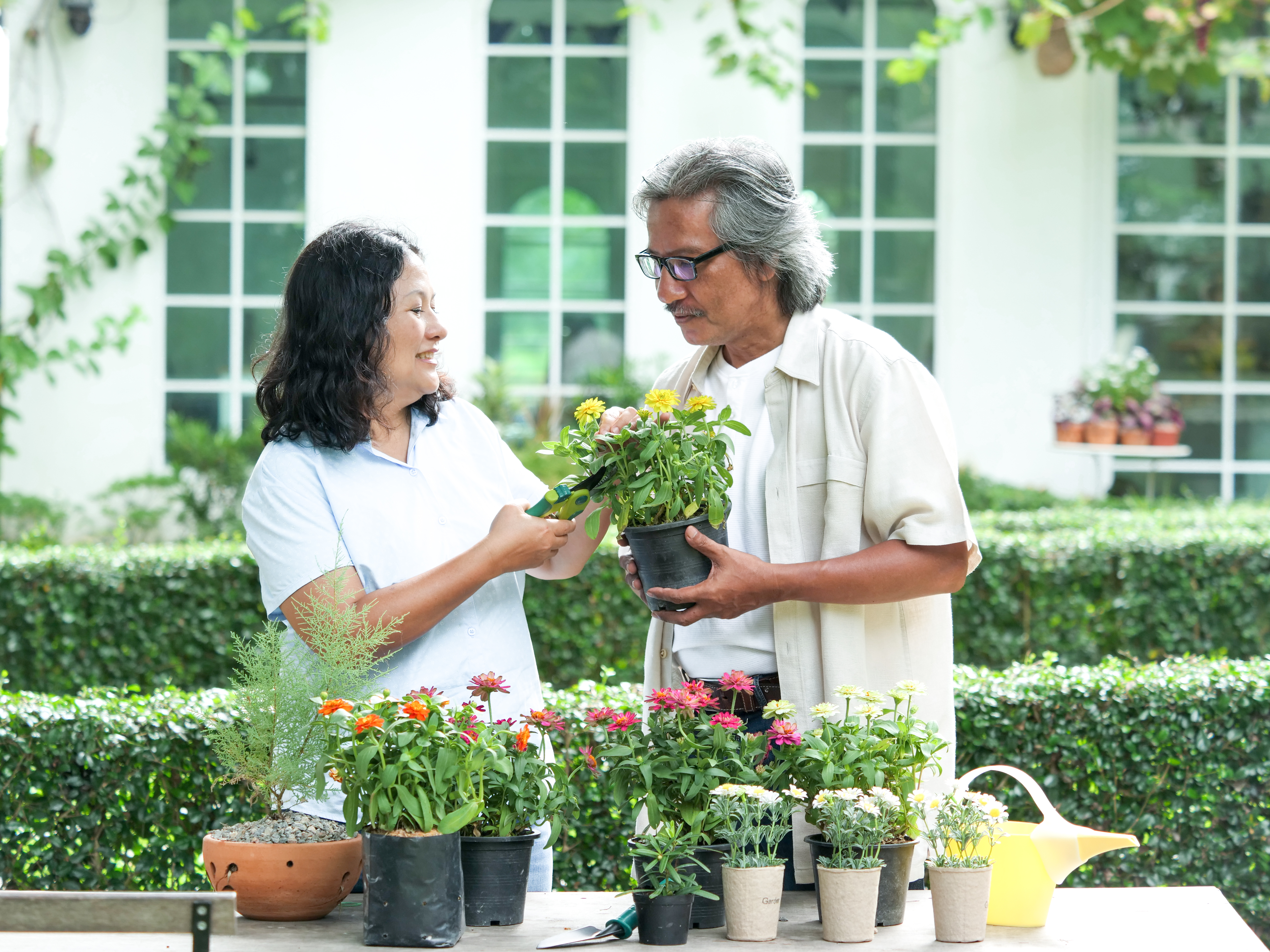 Mental Health and Wellness